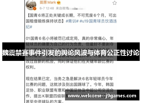 魏震禁赛事件引发的舆论风波与体育公正性讨论