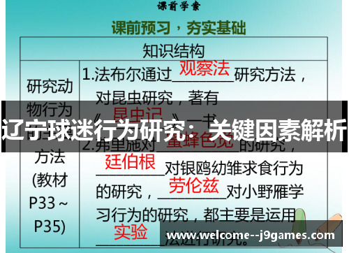 辽宁球迷行为研究:关键因素解析 辽宁球迷行为研究:关键因素解析