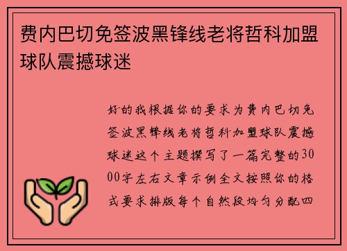费内巴切免签波黑锋线老将哲科加盟球队震撼球迷 费内巴切免签波黑锋线老将哲科加盟球队震撼球迷